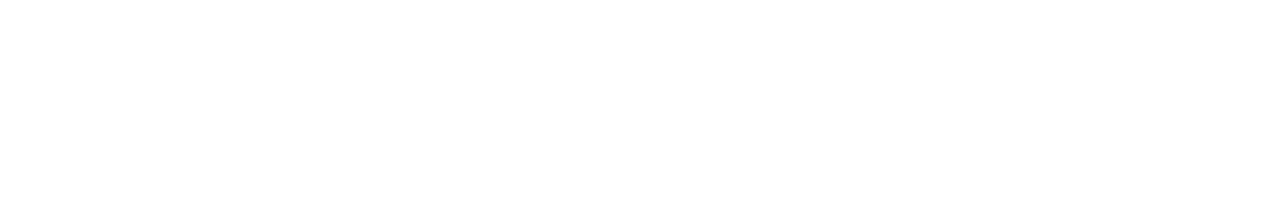 new.match Logo in weiß